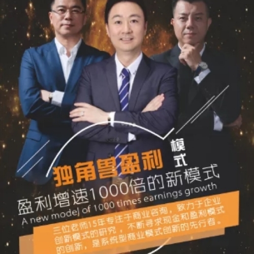 鼎峰集团《独角兽盈利模式》