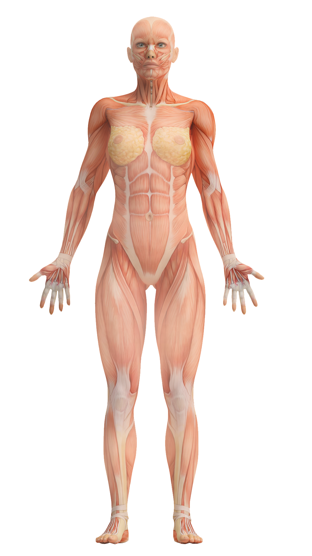 道家平衡疗法病例和腿部平衡标准演示