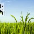 项目周报5.18