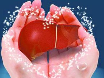 守住肝脏的分水岭