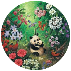 50年前，50年后，看完我哭了！