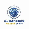 mic脑动力全脑开发