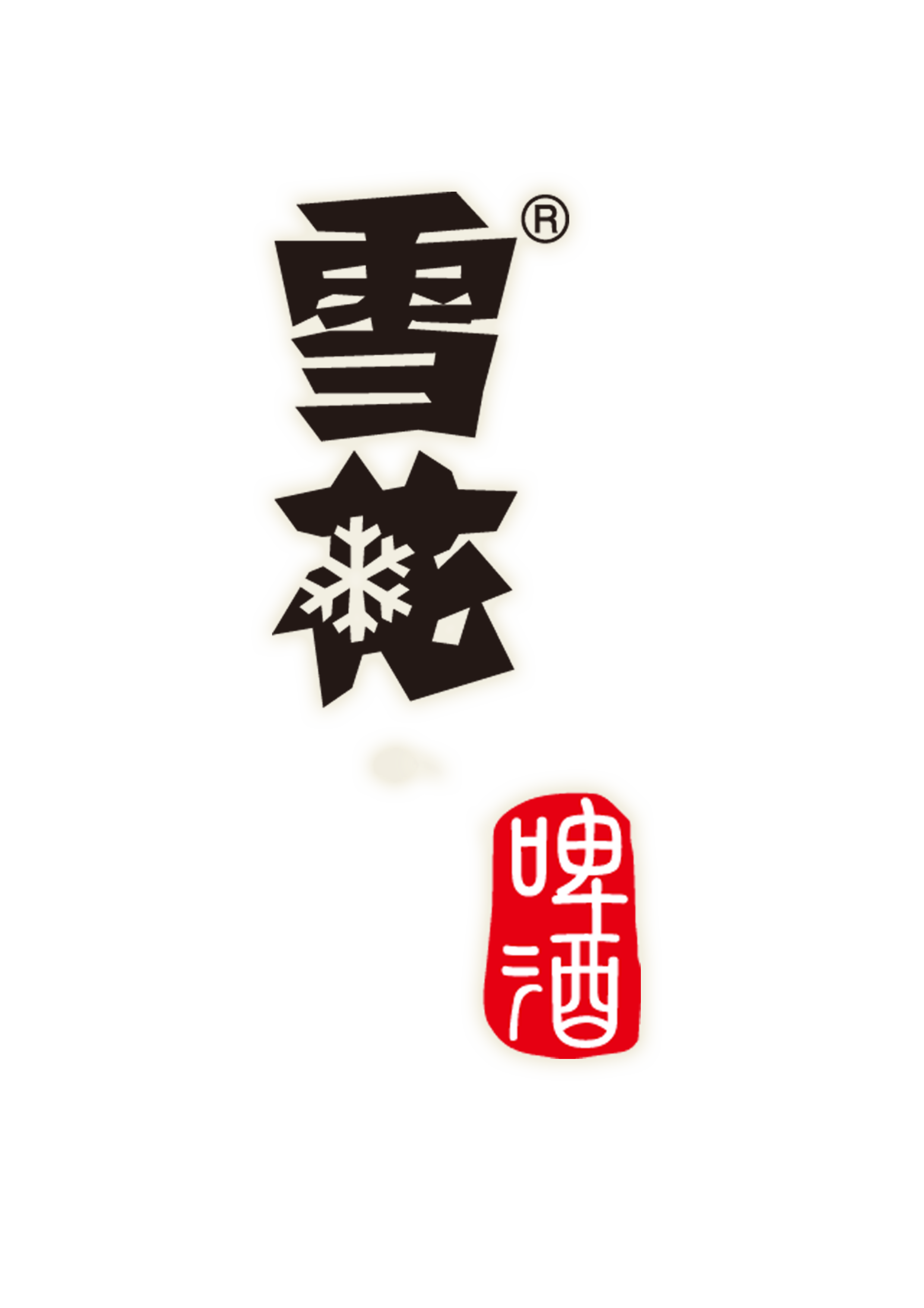 雪花产品宣传手册(2019版）