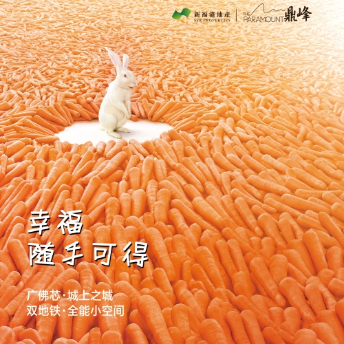 新福港鼎峰公寓介绍