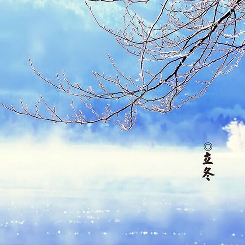 项目周报11.9