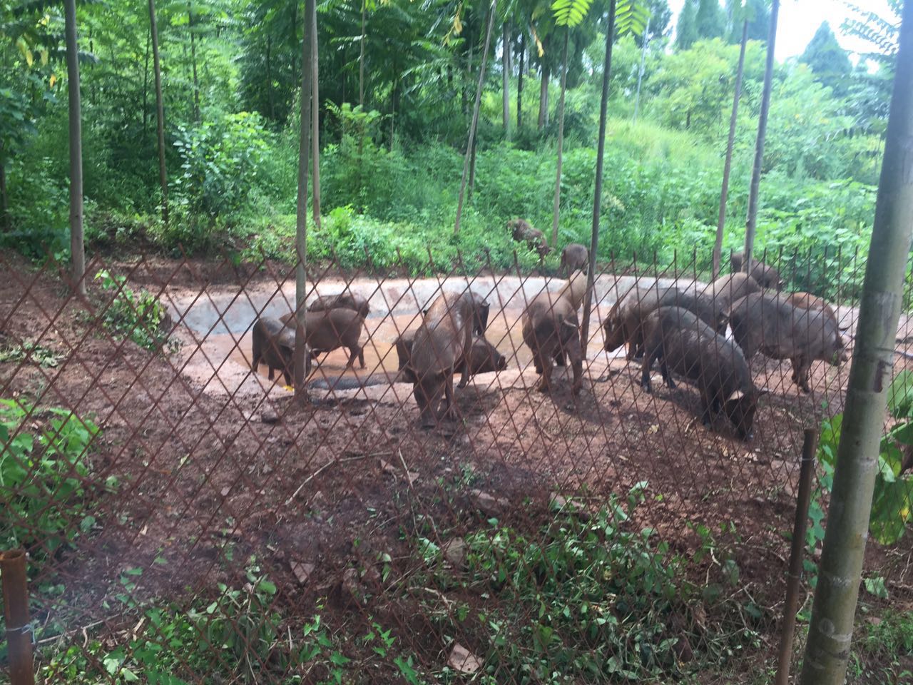 民本众筹——选择我的项目，投资您的健康