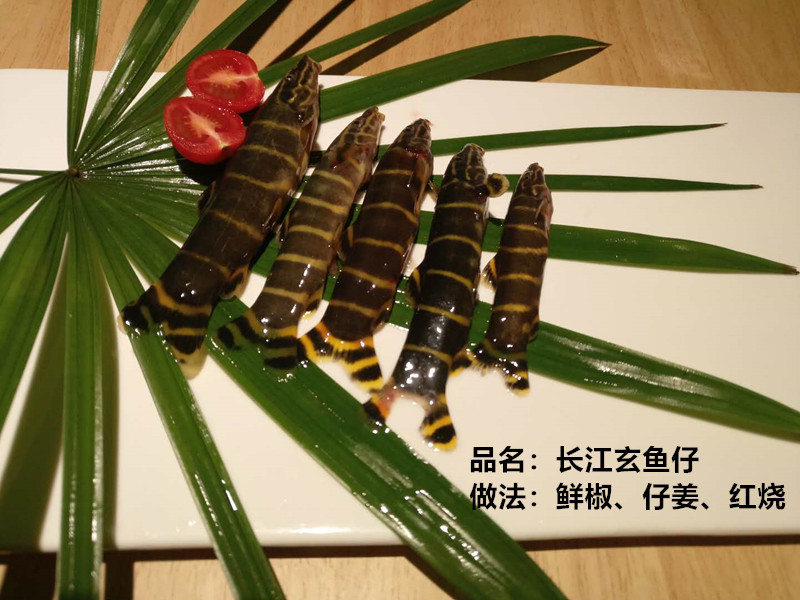 楼尚河鲜菜品展示