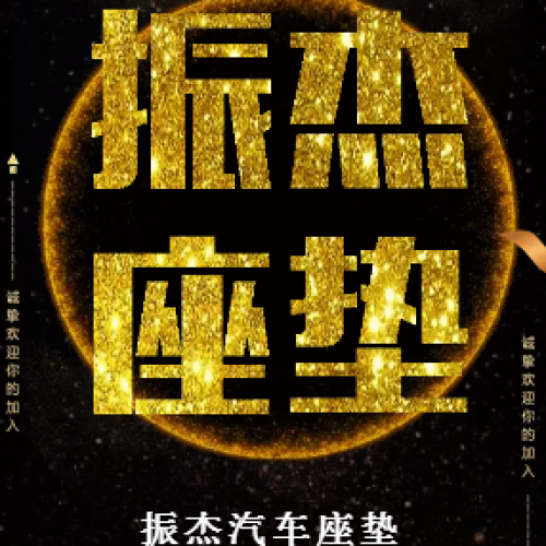 振杰汽车座垫