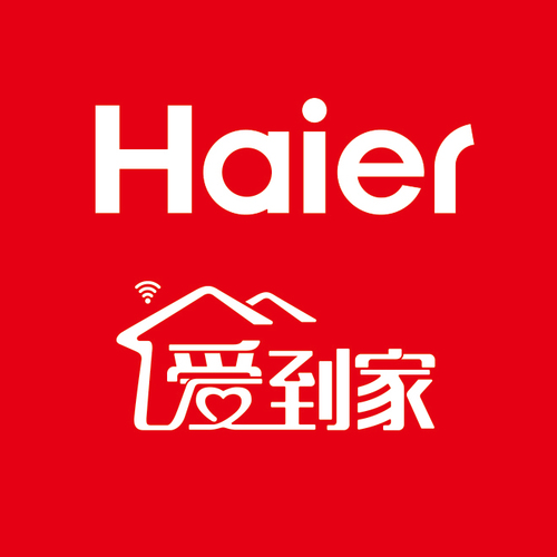 家电公司“爱到家”党建进社区活动