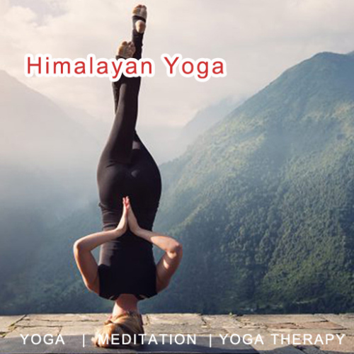 Himalayan Yoga中国TTC师资培训