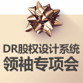 DR股权设计系统领袖专项会