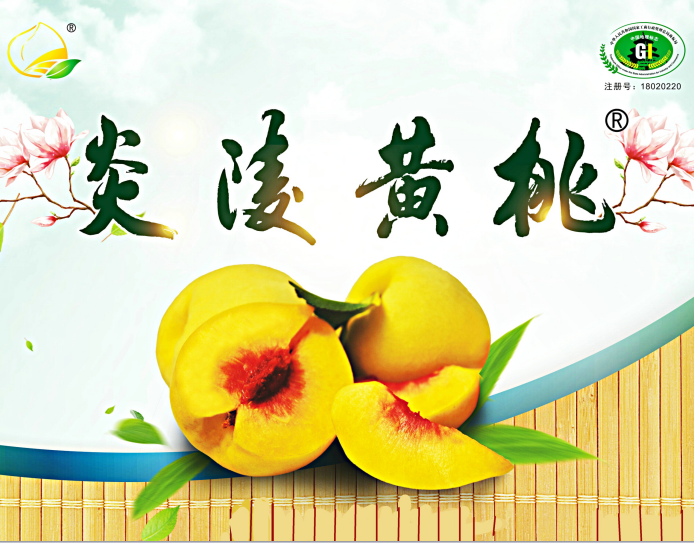上新|等了一年，超高人气的炎陵黄桃预售开抢啦！！！
