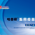哈兽研畜用疫苗